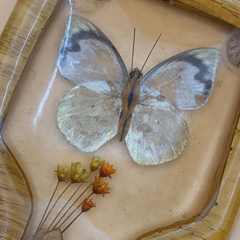 VTG MCM Butterfly Resin Spoon Rest - Picture 2 of 5